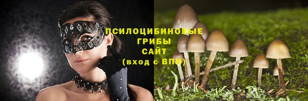 СК Аркадак