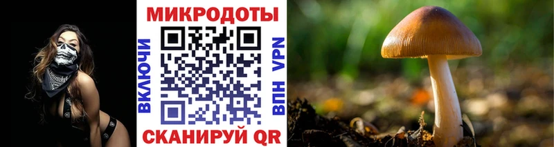 мега зеркало  Волхов  Псилоцибиновые грибы ЛСД 
