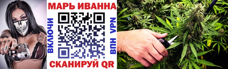 Каннабис OG Kush  Волхов 